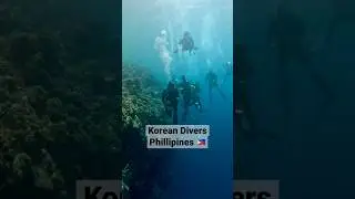 Korean Divers Philippines🇵🇭 #korea #love #best #explore #ocean #reels #shorts #fun #scubadiving