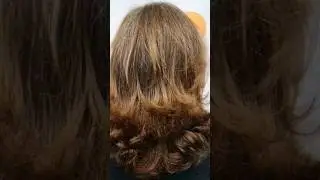 Descubra o Poder do Corte em Blocos e Revolucione seu Sal&atilde;o!