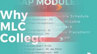 SAP Training |SAP Classroom base Training |Mlc College Canada