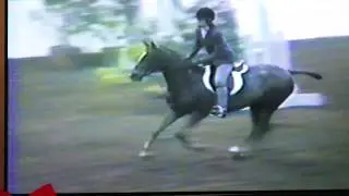 Heather and Lucky Charm Royal Pony Championship 1985