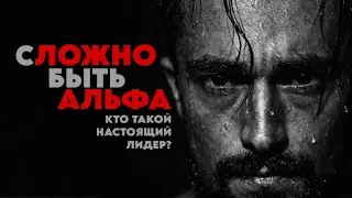 Почему вы до сих пор одиноки — и что не так с образом Альфы