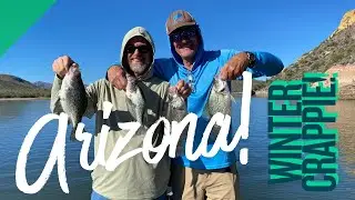 Arizona Crappies Are Biting! - Bartlett Lake Fishing Report #crappie #arizona #bartlettlake