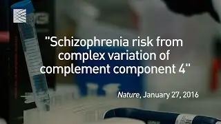 Opening schizophrenia's black box