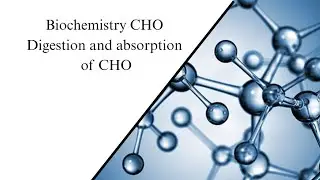 Biochemistry CHO Digestion and absorption of CHO