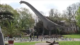 Dino Schau Kölner Zoo Teil 3