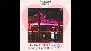 Dream Wedding at the Iconic Flamingo Hotel Las Vegas | Say 'I Do' in Style!