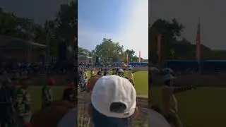 kerapan sapi HUT hajar bos 88 sang juara STELL BALAP