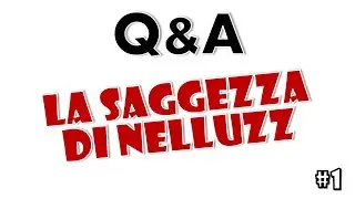 Q&A Nelluzz - Carriera, Lavoro, Universit&agrave; | Quanta saggezza!