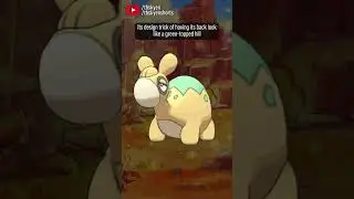Numel is so cute, but it loses its way in its evolutions || #pokemon review
