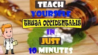THUJA OCCIDENTALIS HOMOEOPATHY MEDICINE  IN HINDI#Drug Picture (Animated), # Dr Polychrest