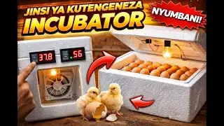 tengeneza incubator yako nyumbani kwa gharama nafuu.