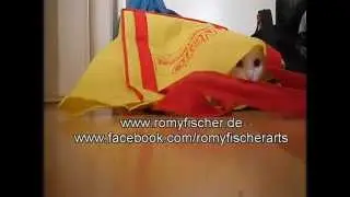 Rambo mit Panikattacke Deluxe - Romy Fischer
