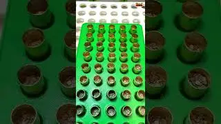 .32ACP loading. Can you spot all five issues? #32ACP #reloadingandmore
