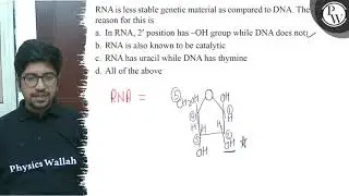 RNA is less stable genetic material as compared to DNA. The reason ...