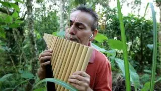 Instrumental Flauta Pan/Somewhere  over the rainbow  Israel Kamakawiwo,ole-
