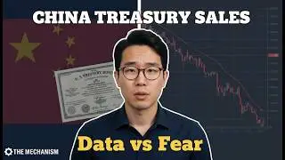 China's Treasury Sales: What Data vs Fear-Mongering Shows