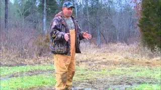 Baiting Wild Hogs pt.2