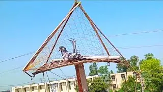 How To Make Pigeons Trap | Chatri Se Kabooter Pakrne Ka Tareeqa | Pigeon Trap