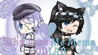 Why Love Me meme || Collab with kklara.. Reupload ( Pls Read Description )|| Gacha Life ||