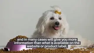 How to Find Complete And Balanced Dog Foods