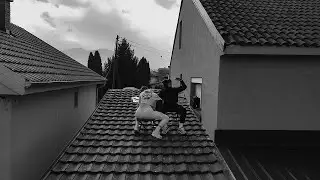 Dimsa - Maalski (Official Video)