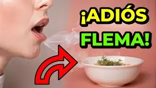 &iquest;C&oacute;mo Eliminar la Flema Cr&oacute;nica de la Garganta R&aacute;pidamente? | Remedios Naturales Efectivos