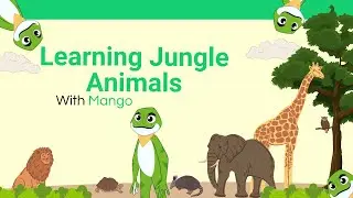 Learning Jungle Animals 🐅🌴Educational Video For Kids