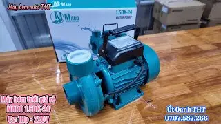 Máy bơm tưới vườn hiệu MARO giá cực rẻ hàng có sẵn tại Hồ Chí Minh, model: 1.5DK-24