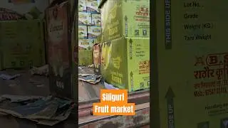 Siliguri fruit market | siliguri fruit wholesale market | guava fruit #fruit  #guava