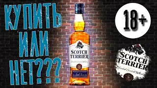 РОССИЙСКИЙ ВИСКИ Скотч Терьер - Как он? | Обзор дешёвки 🐩