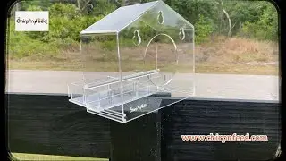 Chirp&rsquo;n Feed Multi-Seed Feeder #birdfeeder