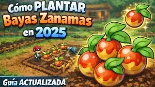 Cómo PLANTAR Bayas ZANAMAS | Guia ACTUALIZADA 2025 PokeMMO