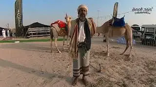 الرحالة العماني سيد حمد أحمد الحامد   وحكاية الجمال الثلاثة التي تفهم اللغة