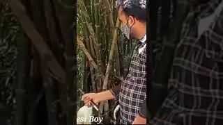 funny reporter#funny#dhakad #reporter funny#reporter#harsh rajput #funny reporter#funny reporting