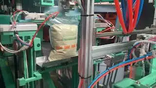 PZB-600-F20 Automatic Bag Feeding & Packing Machine | Rice Packaging | Jialong