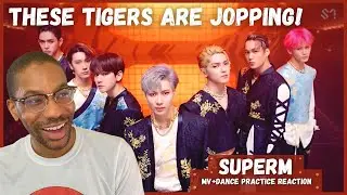 SuperM 'Tiger Inside' MV+Dance Practice REACTION | Dinner's Ready!