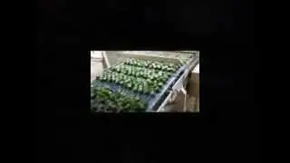 EASYCUBE film