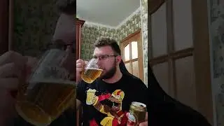 АМСТЕЛ. ОБЗОР.