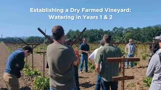 Establishing a Dry Farmed Vineyard Watering in Years 1 and 2