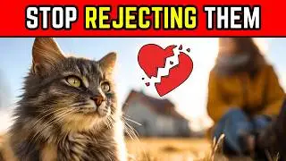 Кошки чувствуют себя отвергнутыми, когда вы делаете ЭТО 😭