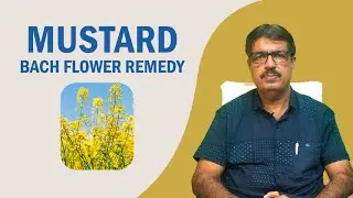 MUSTARD BACH FLOWER REMEDY | EXPLAINED BY DR. KEDARNATH A. LONGANI M.D (HOM) LONGANI CLINICS