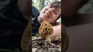 Free Class: mushroom foraging in texas
