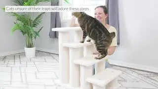 Armarkat Model B4001 Classic Pet Steps in Ivory, Jackson Galaxy Approved, Four Steps
