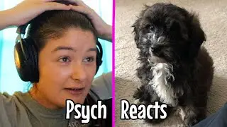 Psychology Major Reacts: Psychopath or Cutiepie