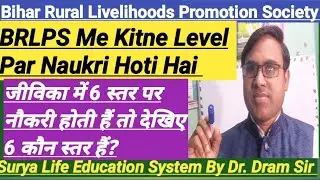 Bihar Rural Livelihoods Promotion Society Me Kitne Level Par Naukri Hoti Hain|जीविका में 6 स्तर पर|