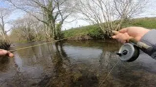 Upper Taw (CFFC water)