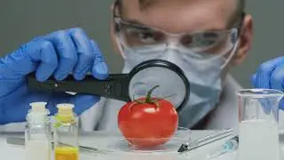 The Hidden Dangers in Your Food #GMO #FDA #dctm #food #foodie #new