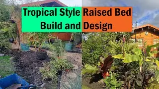 Raised Tropical Planting Bed Transformation