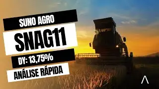 SNAG11 AN&Aacute;LISE RAPIDA!  - Desvendando os FIIs #fiis #FIAGRO #SNAG11