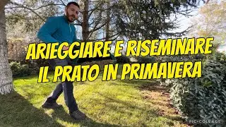 Come arieggiare e riseminare il prato in primavera - microterme